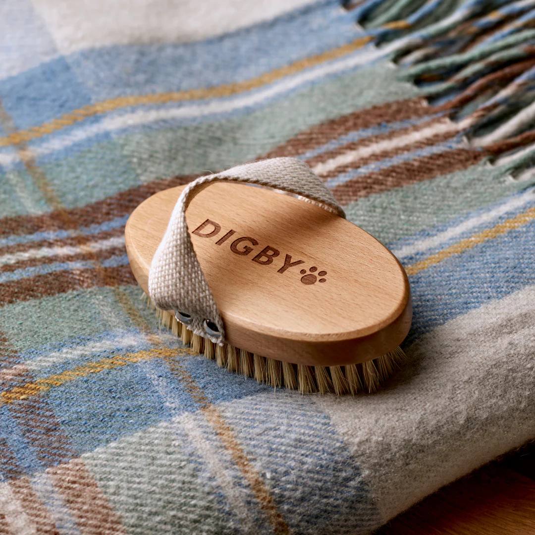Digby Dog Brush - Image 3