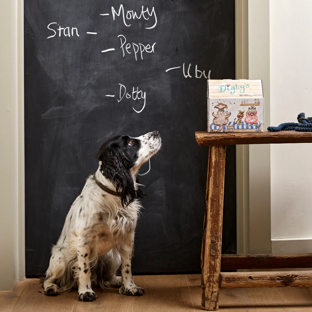 Digby's Grooming Parlour - Image 4